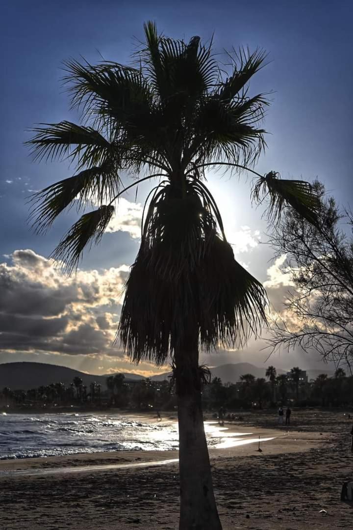 Vacances En Paradis Saint-Raphaël Eksteriør billede