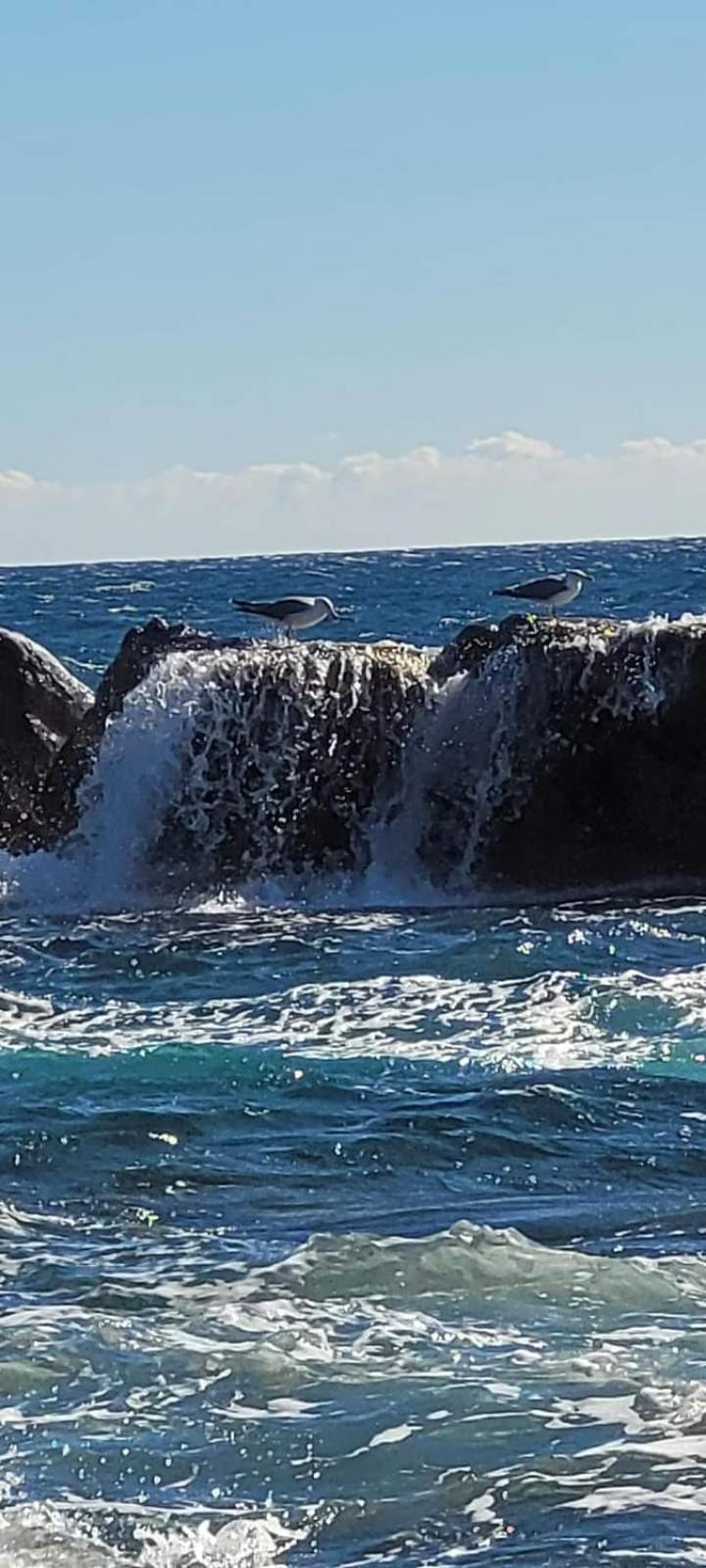 Vacances En Paradis Saint-Raphaël Eksteriør billede